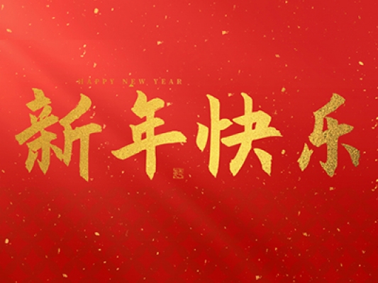 浙江百茂板業(yè)有限公司祝大家2025新年快樂！
